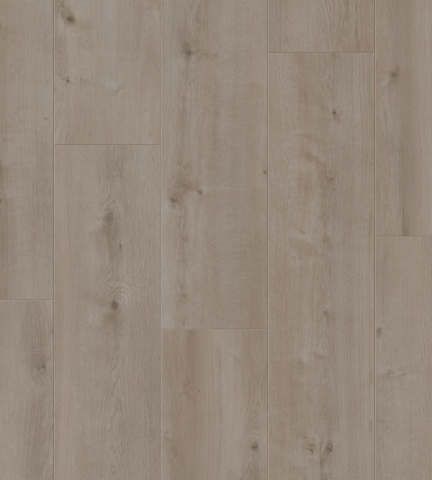 Essenz Laminat NATURAL Commerce 5376 Roble Gris Acero 8mm AC5