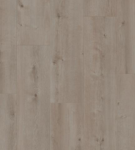 Essenz Laminat NATURAL Design 5076 Roble Gris Acero 8mm AC4